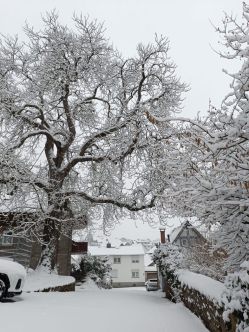 Winterstimmung im Jahr 2025